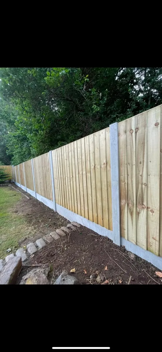 Close-board fencing with concrete posts in garden