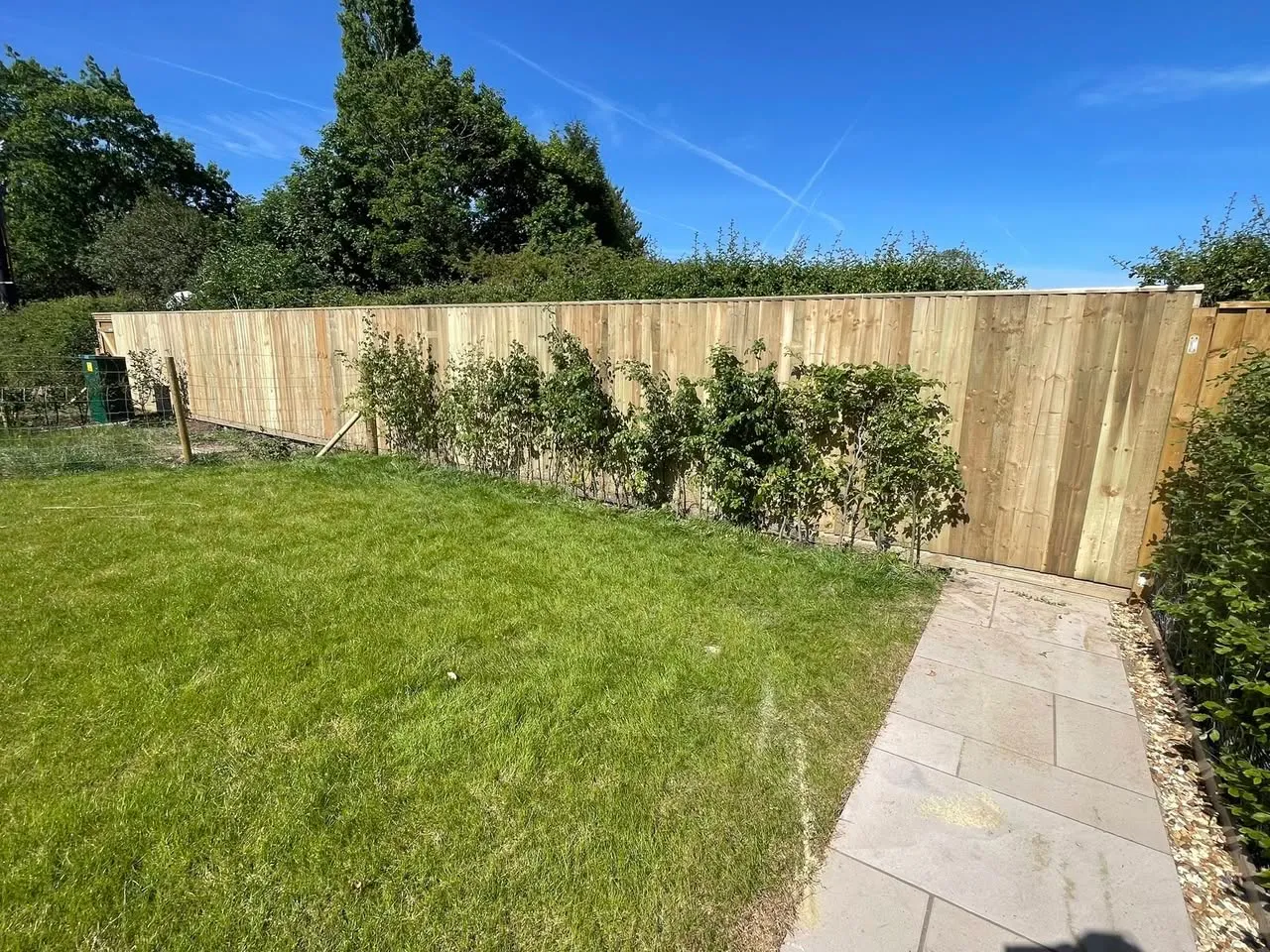 Quality close-board fencing in a garden with blue sky